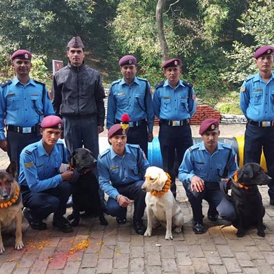 Happy Dog Day, a Tihar festival. Giving a special thanks to the Search and Rescue dogs of the Nepal Police involved in saving lives after the earthquake. 'Thulo shaybash ani dherai dhanyabad'. Rich in culture as always.
